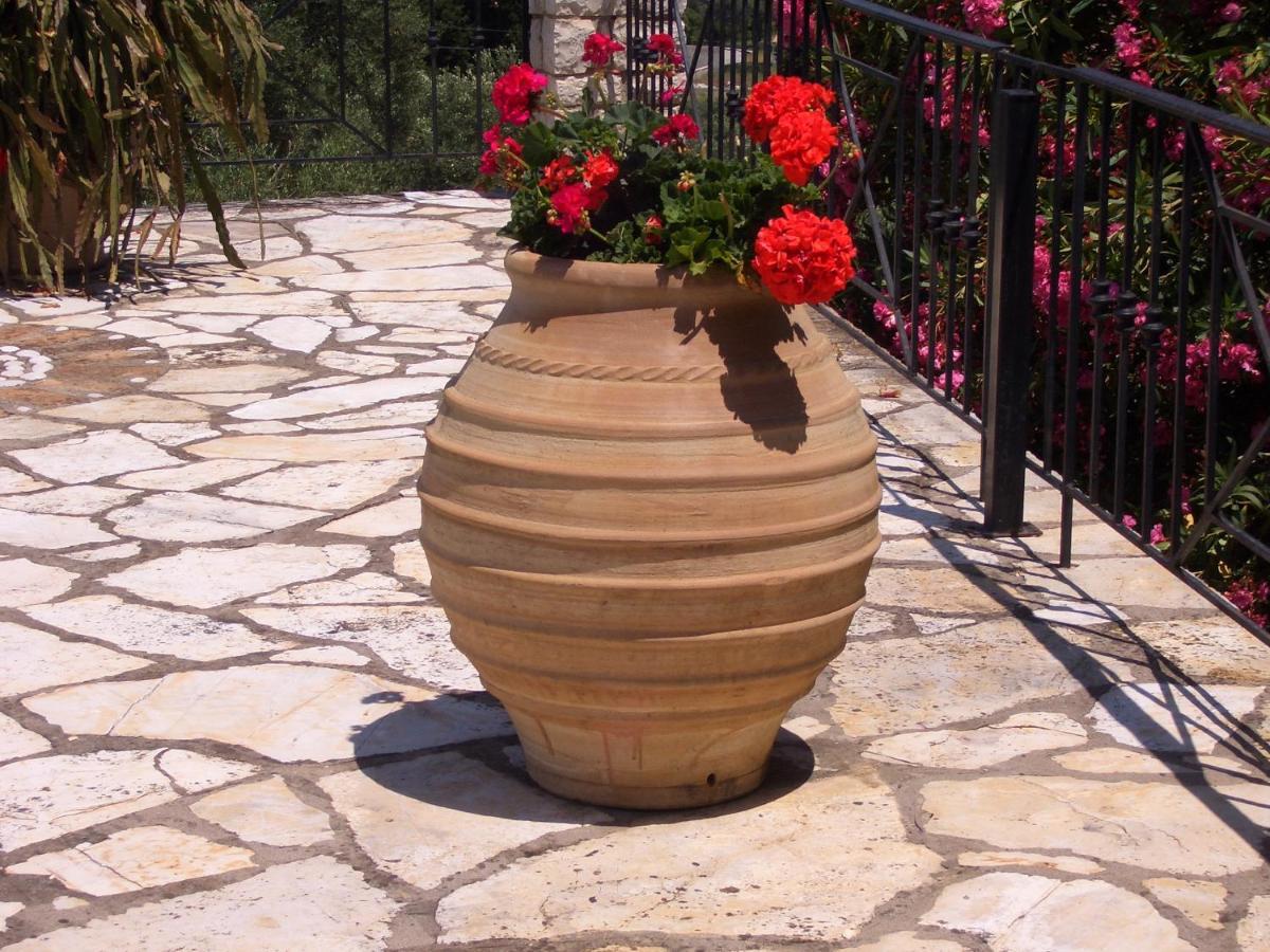 Villa Bacchus Kassiopi Corfu Dış mekan fotoğraf